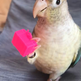 フォージングトイ( ¯•ω•¯ )の画像