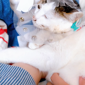 哺乳のあとは…の画像