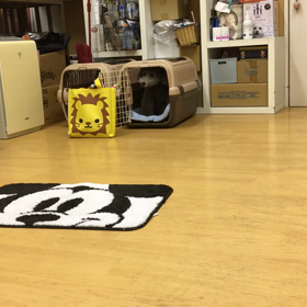 今日のオレはやりますぜ！！の画像