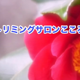 1月　〜スライドショー〜の画像