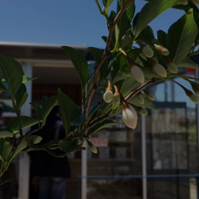 やっと春らしくなって来ましたね。の画像