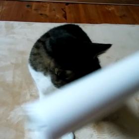 おやすみ前に(*^-^*)の画像