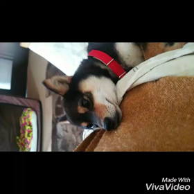 おかえり父たん‼U^ェ^U♡の画像