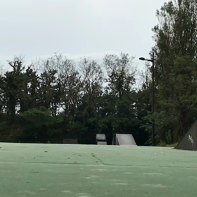 今朝のオーリーの画像