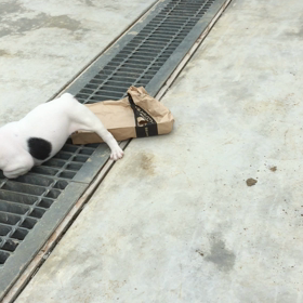 父ちゃん何処⁉️、の画像