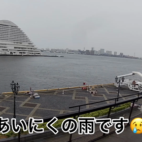 ウミエ、モザイクからの眺め（動画）（2022.6.11）。の画像