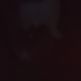 どこの子だい？の画像