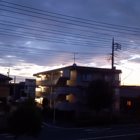 畑のキューリが撮れました＼(◎o◎)／！の画像