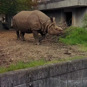 日舞の開演は12時半ですから、、時間がありますからね(*^^*)の画像