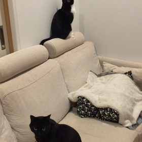 オチリにちゅーもーく！の画像