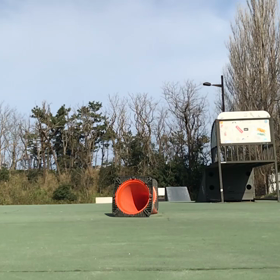 今朝のスケート自撮りより　　その1  今朝の師匠達の画像