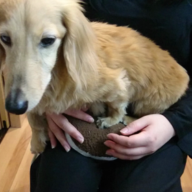 湯  タンポ争奪戦の画像