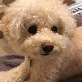 サクサクの画像