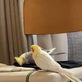 ご無沙汰してます☺️の画像