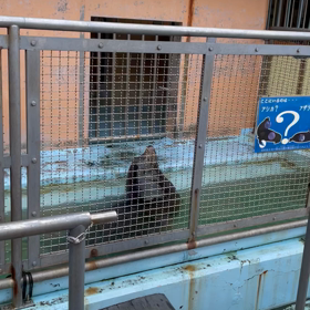 伊豆旅行♡タマゴヤの画像