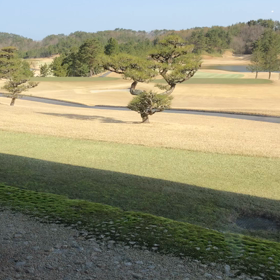 2020年3月21日　ゴルフの画像