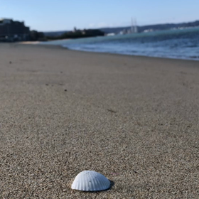 波の音を聞いて、癒されていただければ。 さて、ここはどこでしょう？の画像