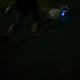 走れるようになったの画像