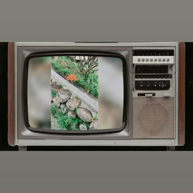 美味しい(o^^o)の画像