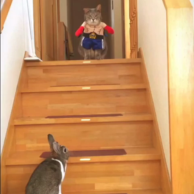 ムッキムキ♡の画像