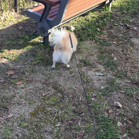 足の経過の画像