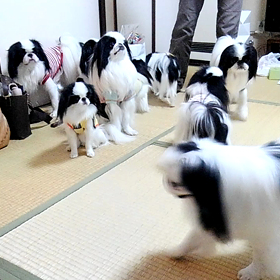 つづいての画像