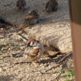 いやいや・・・。の画像