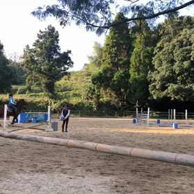 いつまでも仔馬の画像