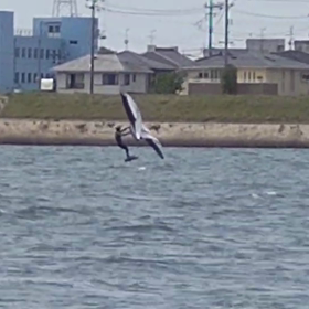 おやすみの画像