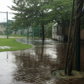 今日の大雨の画像