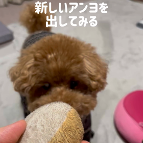 新旧対決の画像