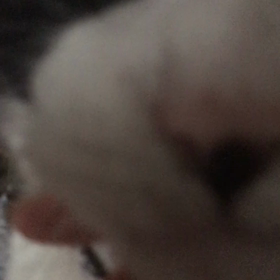 アピールの画像