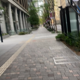 桜ーヒラヒラの画像