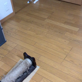 イントラさんの代行続き。デールご飯〜ごめんちょっと待って！の画像