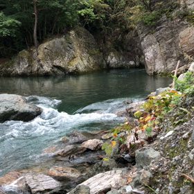 動画はどうかな？の画像