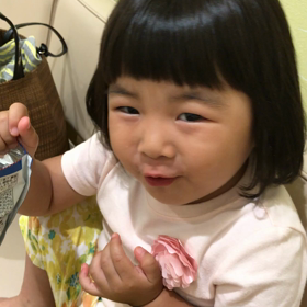 カエルの学校の画像