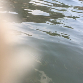 アマゾン龍宮城の画像