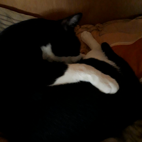 連勤初日の画像