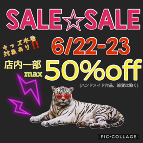 今日明日の画像