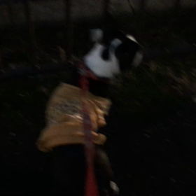 リキ対救急車の画像