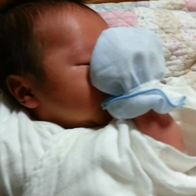 ☆27日目☆ 【動画】 tandyの画像