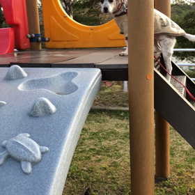 ひなちゃんの画像