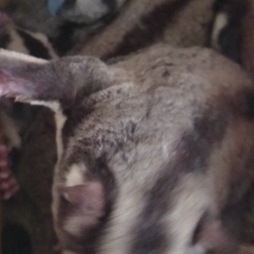 ご予約のお客様への画像