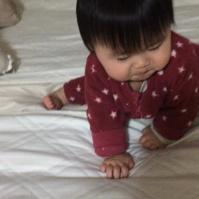 うつ伏せからのお座りの画像