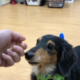 百点でいいでしょう。の画像