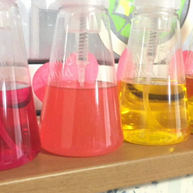 あと2日！！！の画像