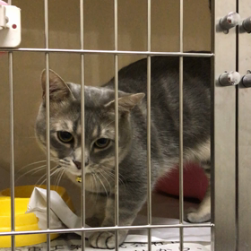 お泊まり♡レオくんの画像