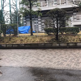 女子Cチーム流しバトンの画像