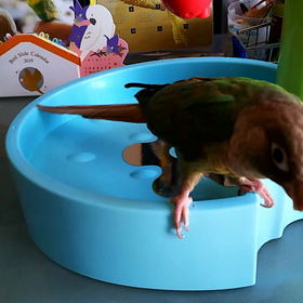 水浴び…するかな？の画像