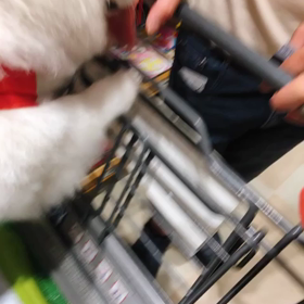 動じないの画像